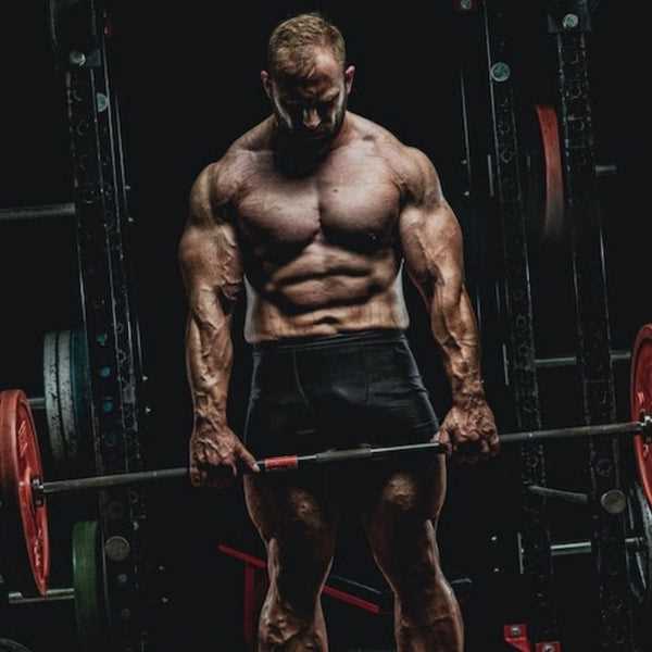 The 7 Best Lower Trap Exercises for a Strong and Defined Back